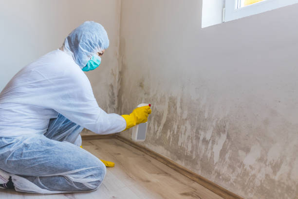 Bathroom Mold Removal assessment in Rhodelia bathroom